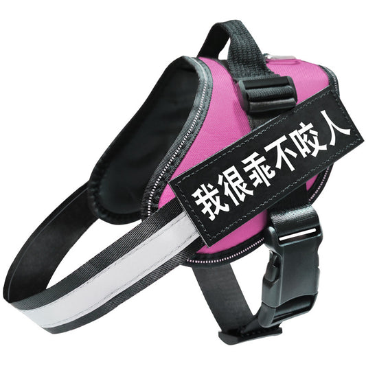 Reflective Dog Leash, Dog Leash, Dog Harness