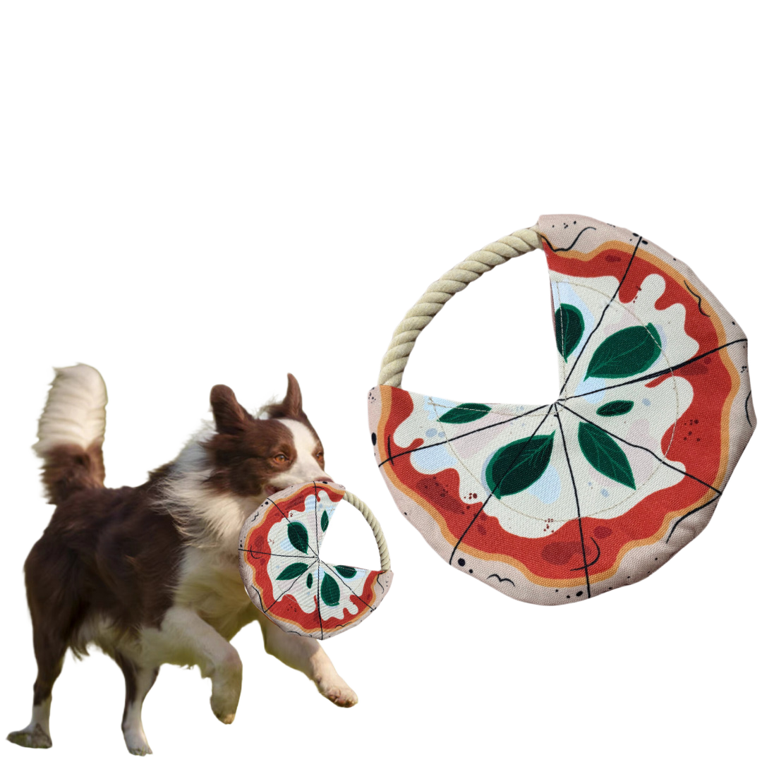 Dog Frisbee