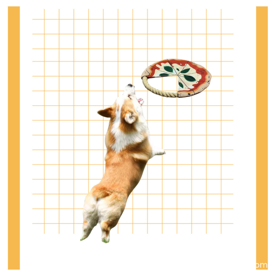 Dog Frisbee