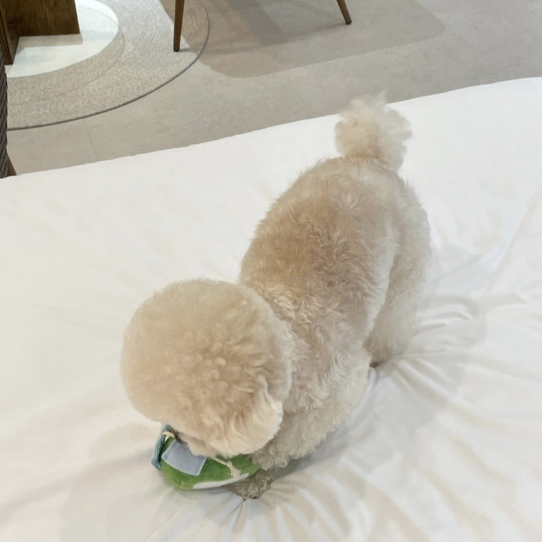 Cute pet teeth grinding, wine bottle making sounds, food hiding, sniffing toys