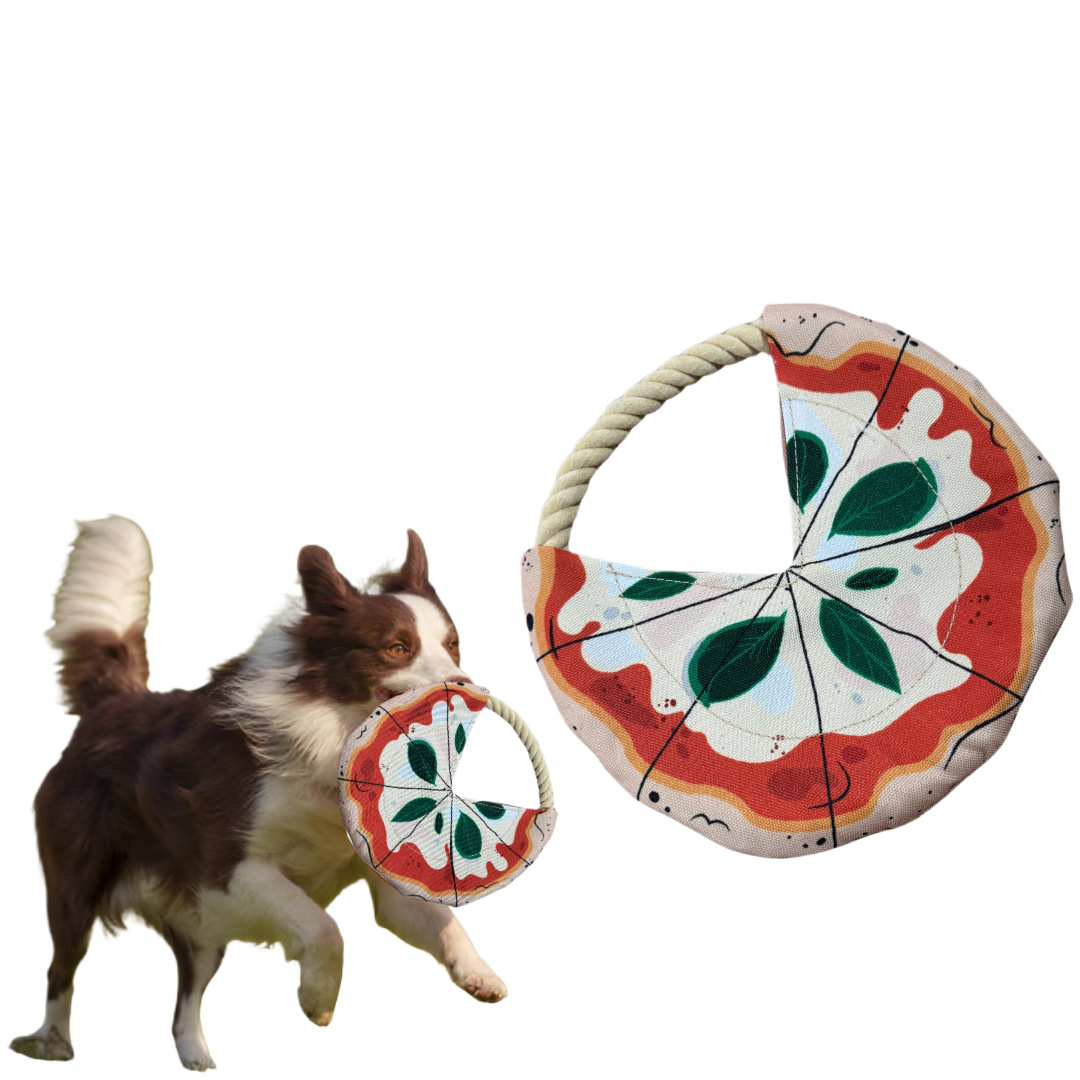 Dog Frisbee