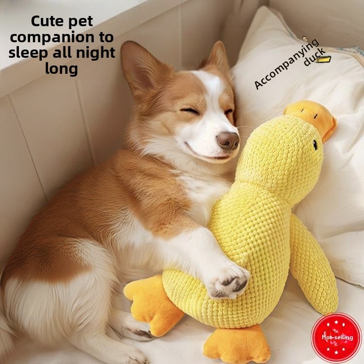 Pet Toy Vocal