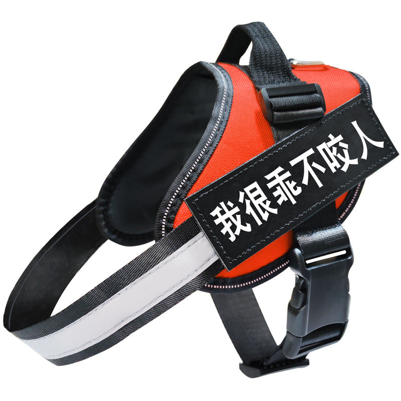 Reflective Dog Leash, Dog Leash, Dog Harness