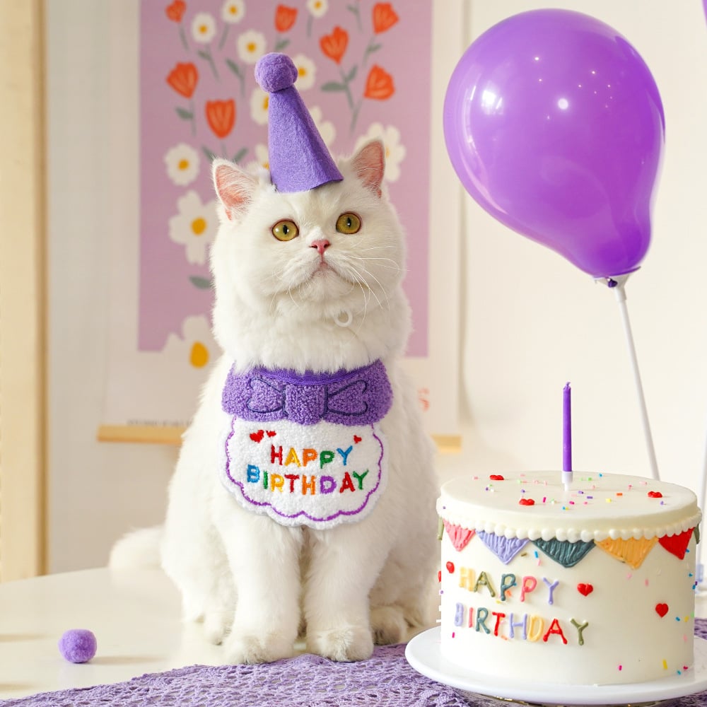 Pet towel party decoration