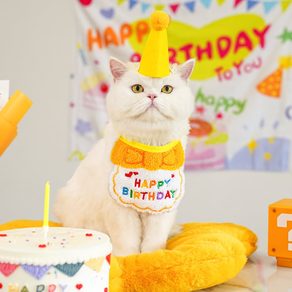 Pet towel party decoration