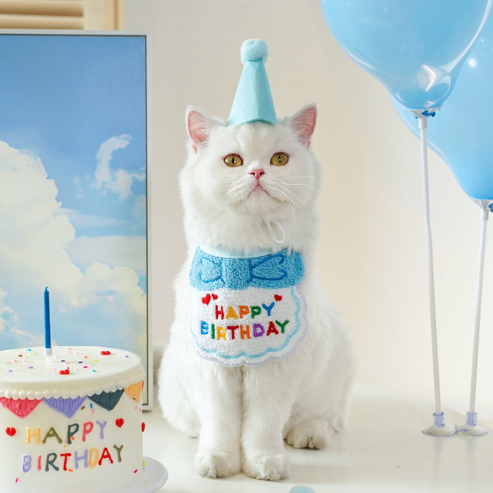 Pet towel party decoration