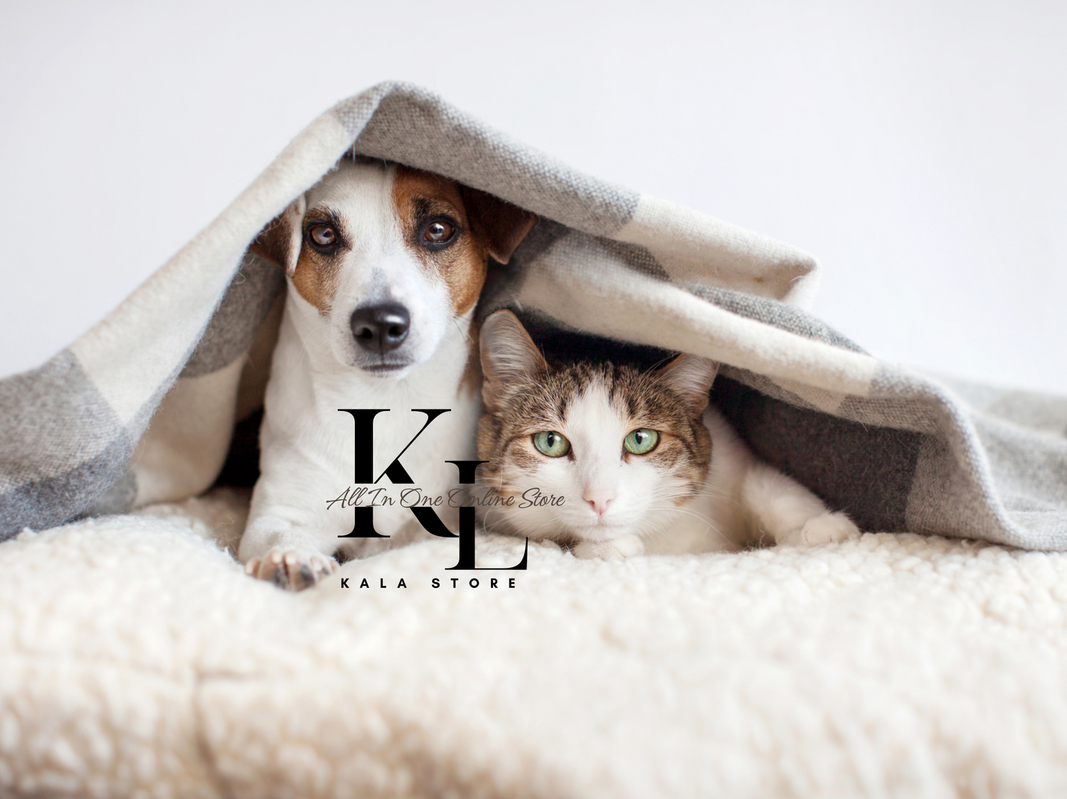 Pets