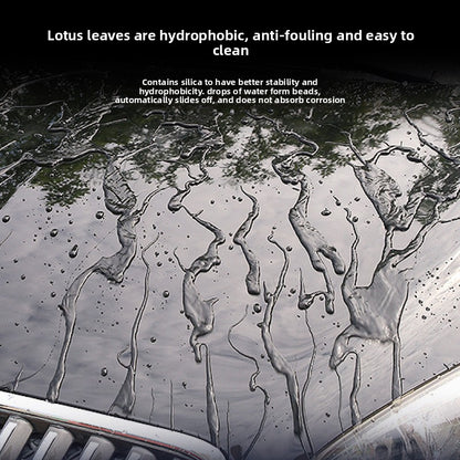 Paint surface polishing maintenance liquid