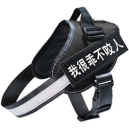 Reflective Dog Leash, Dog Leash, Dog Harness