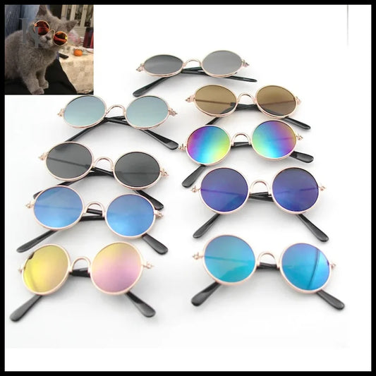Eye-Wear Sunglasses Photos Props Pet