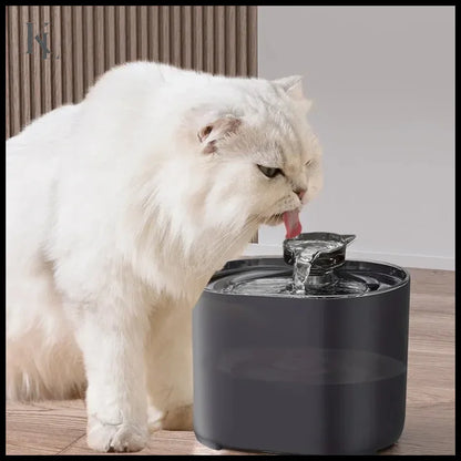 Water Fountain Auto Recirculate Filtring Water Dispenser