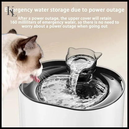 Water Fountain Auto Recirculate Filtring Water Dispenser