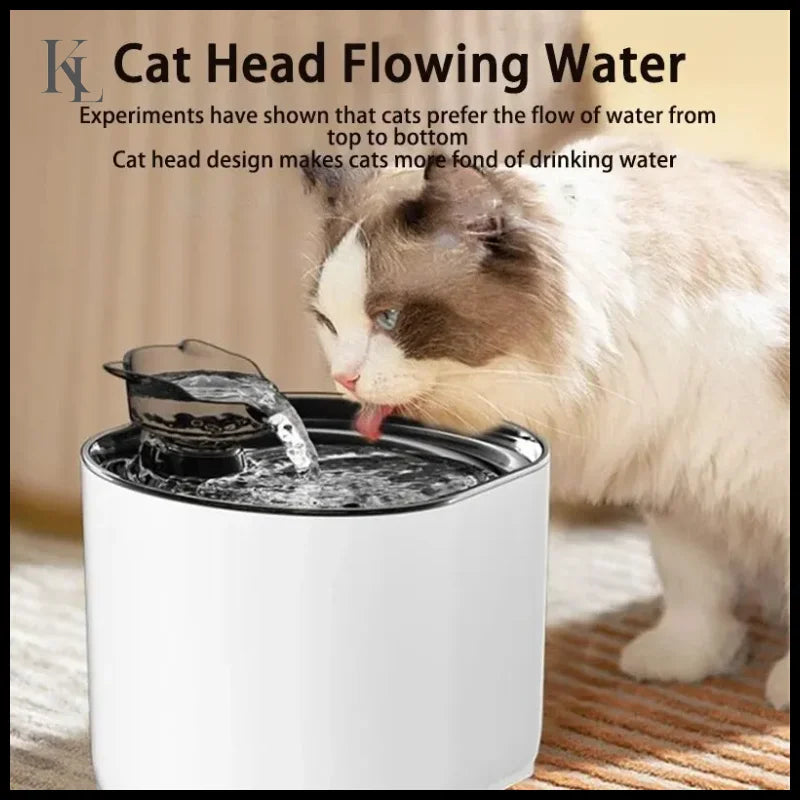 Water Fountain Auto Recirculate Filtring Water Dispenser