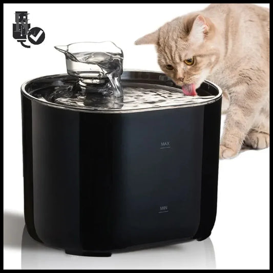 Water Fountain Auto Recirculate Filtring Water Dispenser