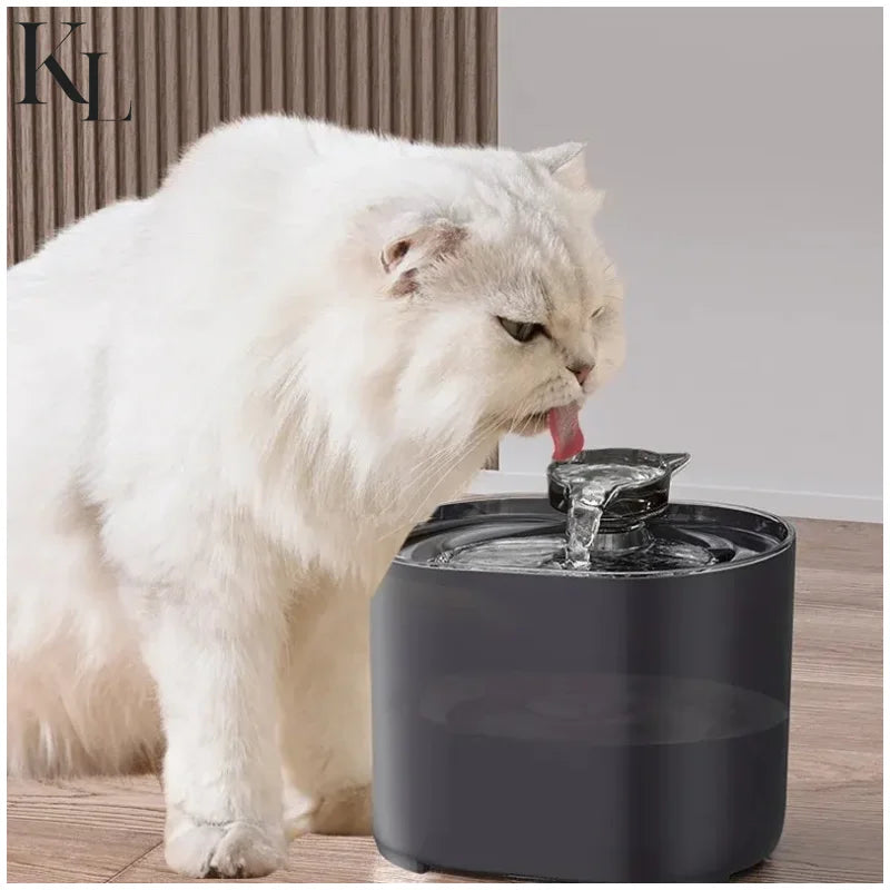 Water Fountain Auto Recirculate Filtring Water Dispenser